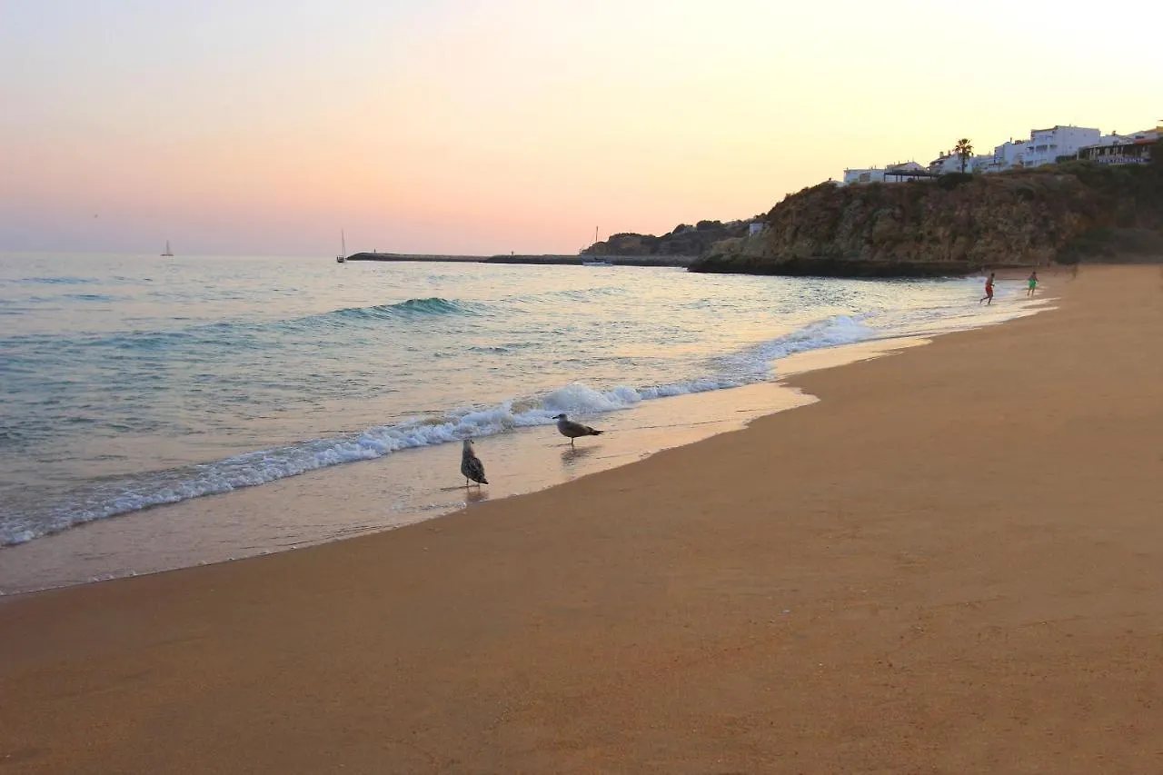 Warm Yellow Albufeira